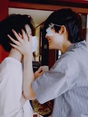 深入了解 蓝导航小鸟导航